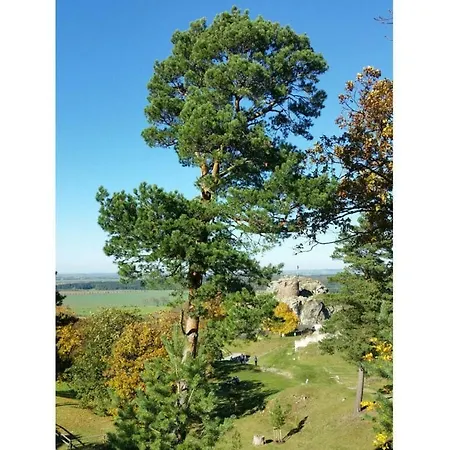 Castle View Holiday home *
